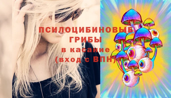 а пвп мука Аркадак