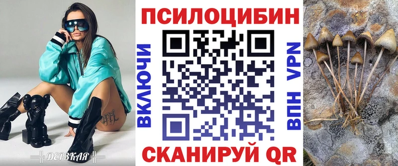Купить  Руза  Псилоцибиновые грибы Psilocybe 